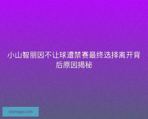 小山智丽因不让球遭禁赛最终选择离开背后原因揭秘