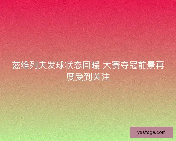 兹维列夫发球状态回暖 大赛夺冠前景再度受到关注 兹维列夫发球状态回暖 大赛夺冠前景再度受到关注