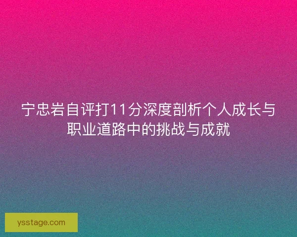 宁忠岩自评打11分深度剖析个人成长与职业道路中的挑战与成就