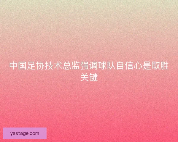 中国足协技术总监强调球队自信心是取胜关键 中国足协技术总监强调球队自信心是取胜关键